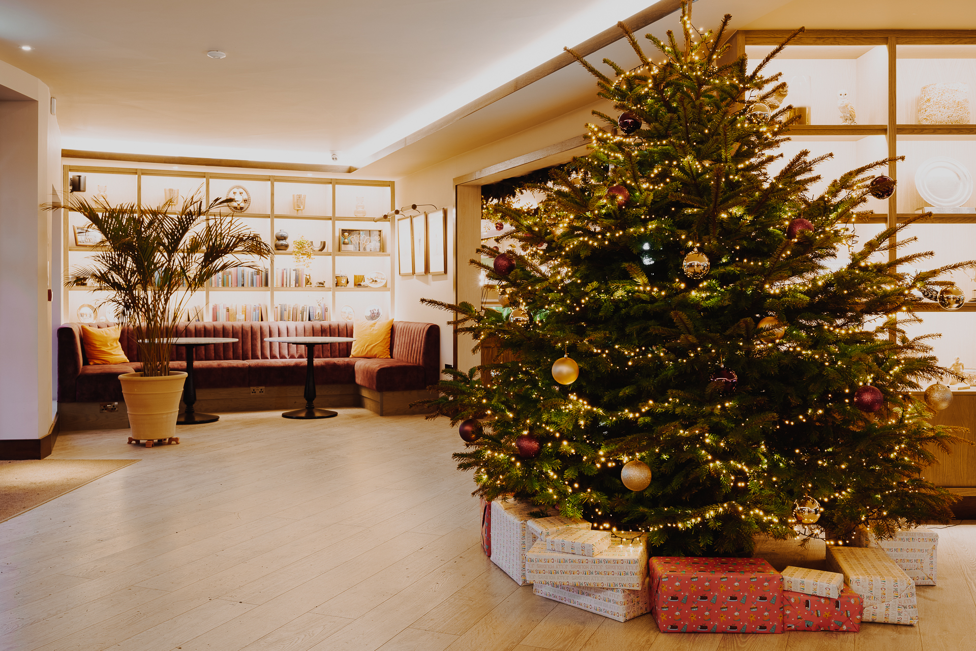 Hamptworth Christmas Tree Hamptworth Christmas Tree