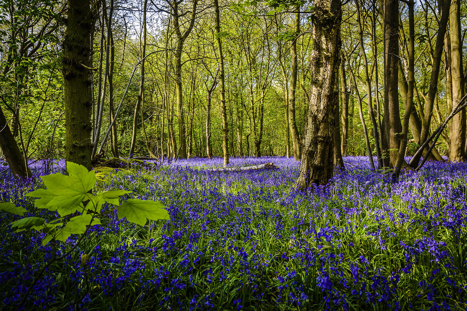 Hamptworth Golf – March Newsletter Hamptworth Golf - March Newsletter